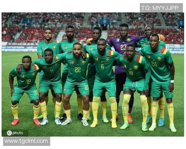 喀麦隆足球明星非洲雄狮的辉煌历程与传奇故事